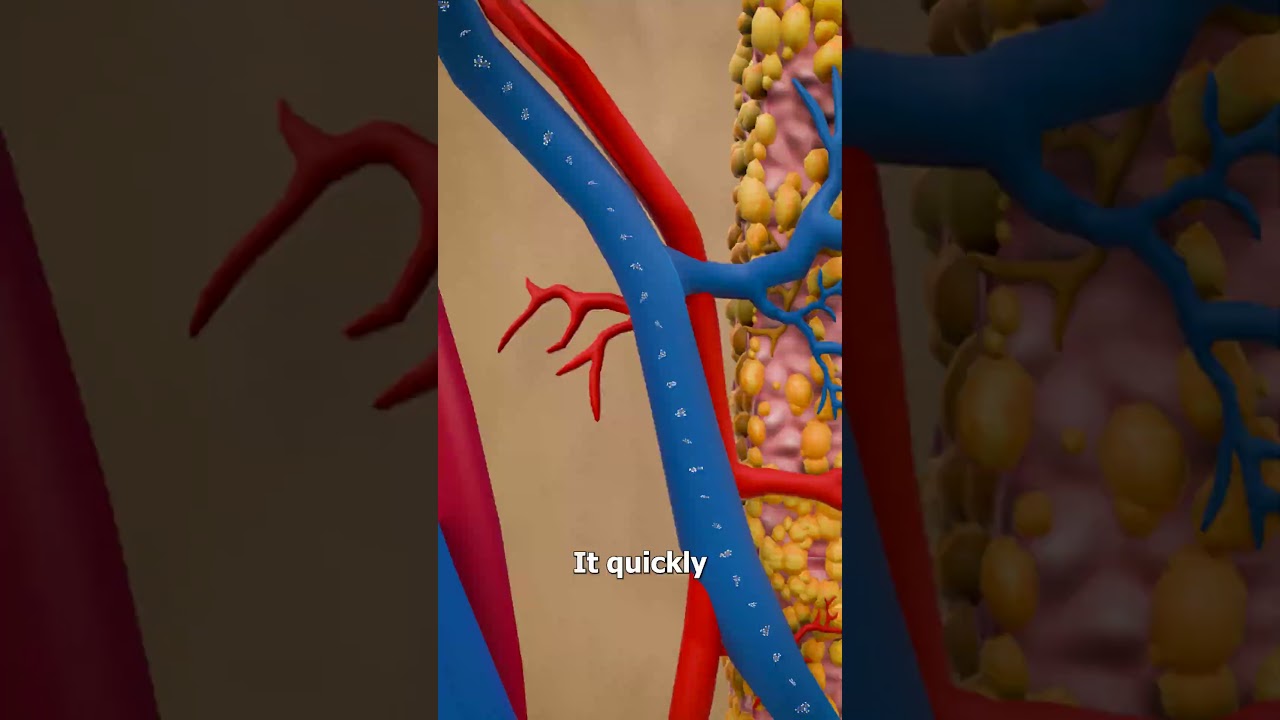 How A Nicotine Patch Works 🤔