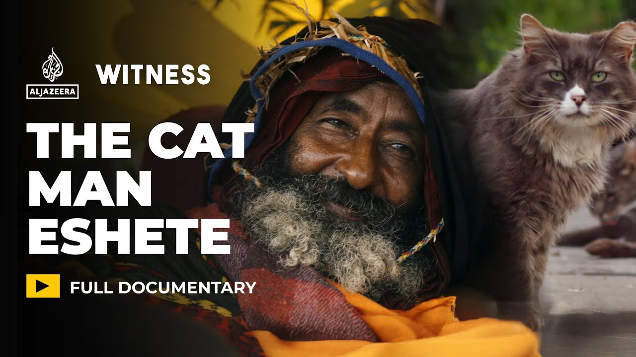 How an Ethiopian refugee built a life among stray cats in New York | Witness Documentary