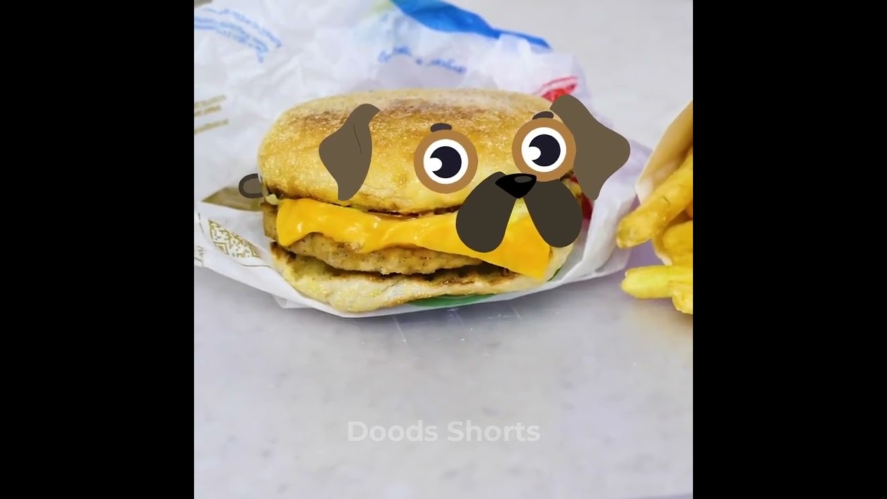 HOW BURGER LOOKS LIKE #shorts #doods