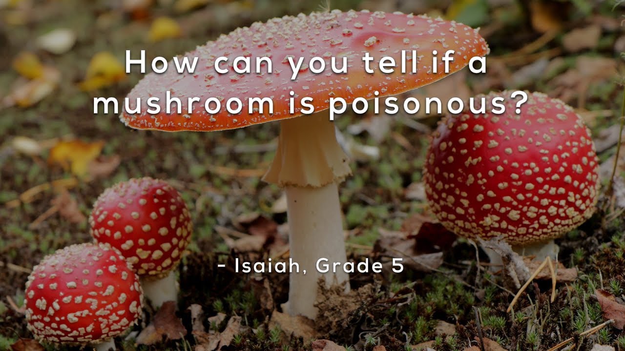 How can you tell if a mushroom is poisonous?