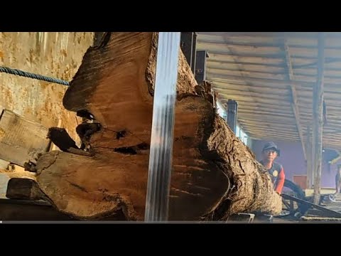How Could That Happen, chopping a big deadly log at sawmill