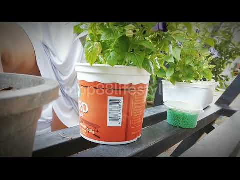 How Do I Clean Flower Plant Pots? / Natural Homemade Flower Pot Cleaning