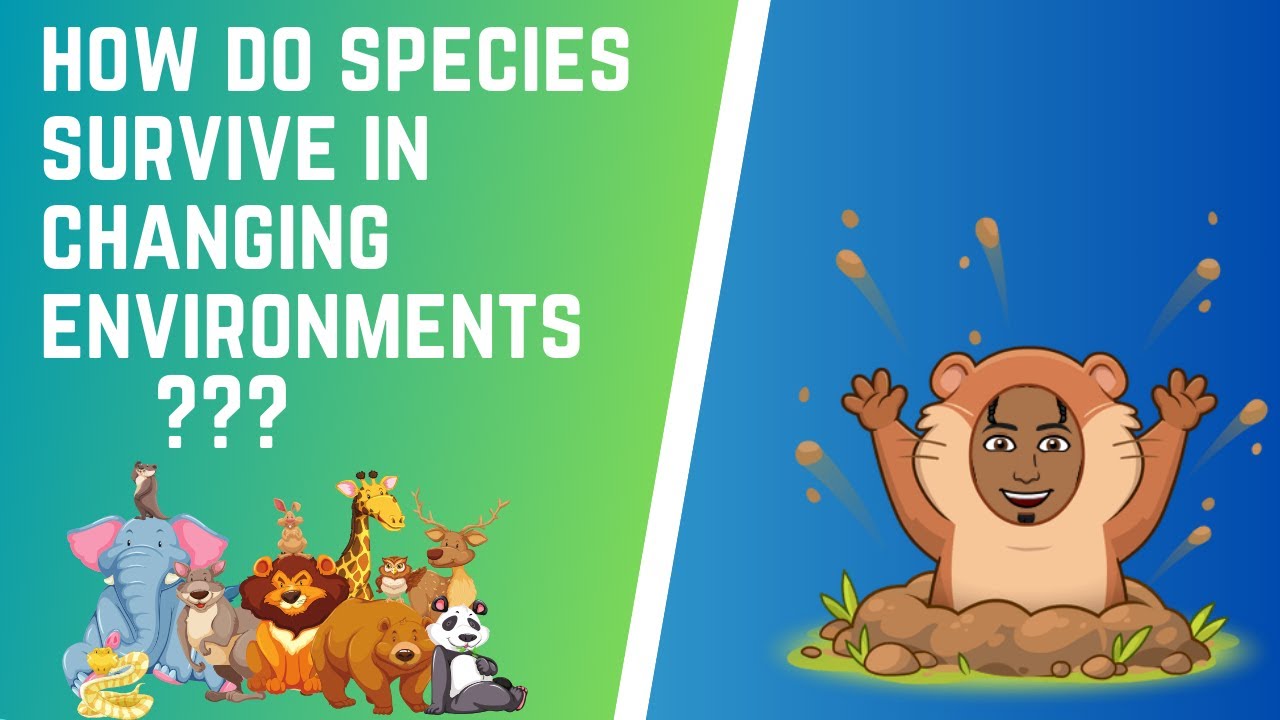 How Do Species Survive in Changing Environments?