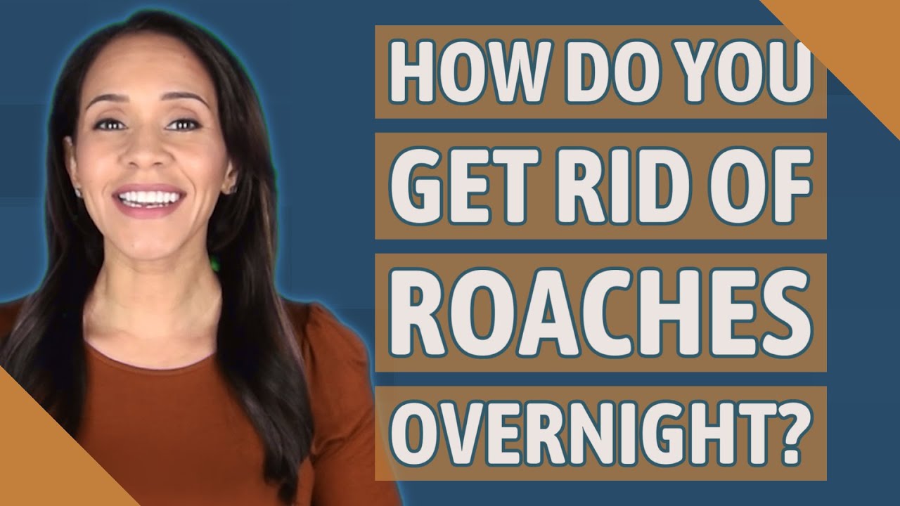 How do you get rid of roaches overnight?