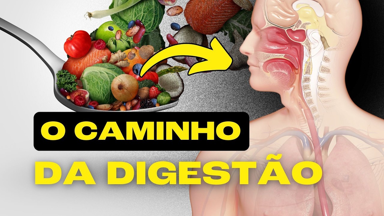 How does food digestion work?