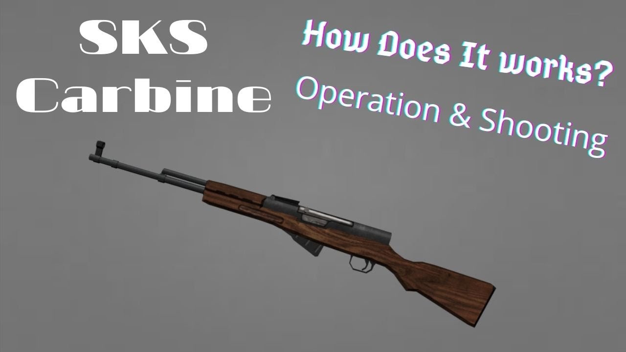 How does SKS actually works | Operation and Animation #shorts