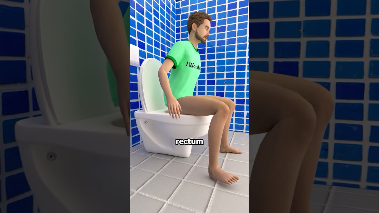 How Does Your Body Turn Food Into Poop? 💩
