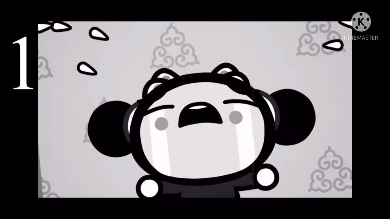 How Many Times Did Toon Pucca Cry?