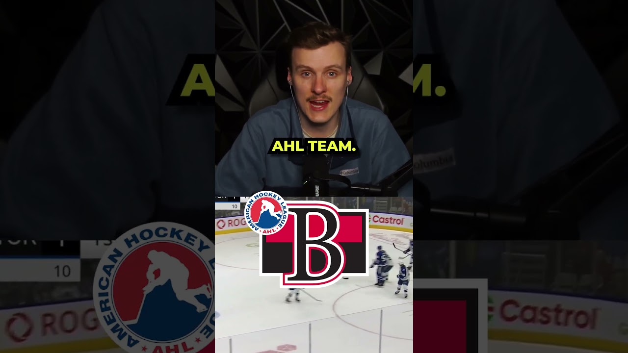 How Much AHL Players Get Paid #hockey