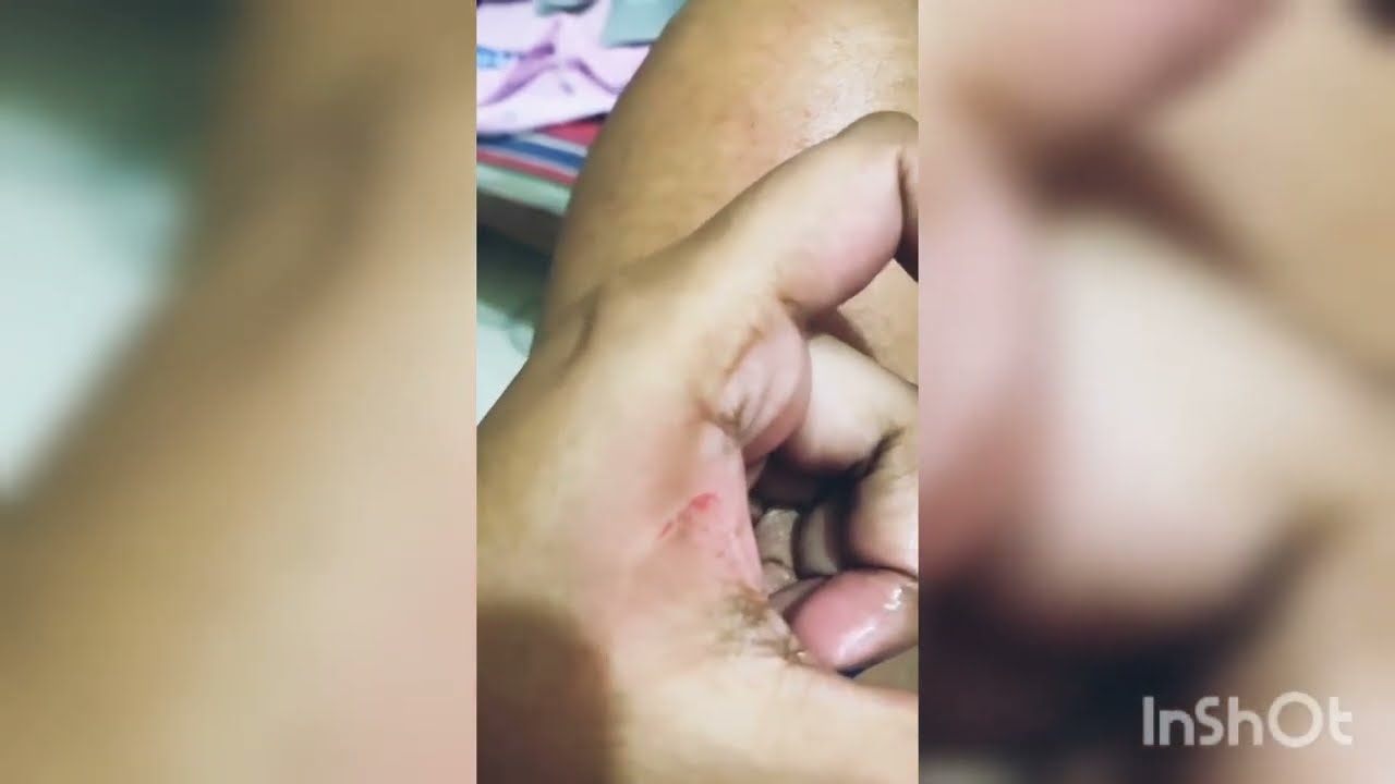 how my pussy cat love bite me  #cat #cats #love