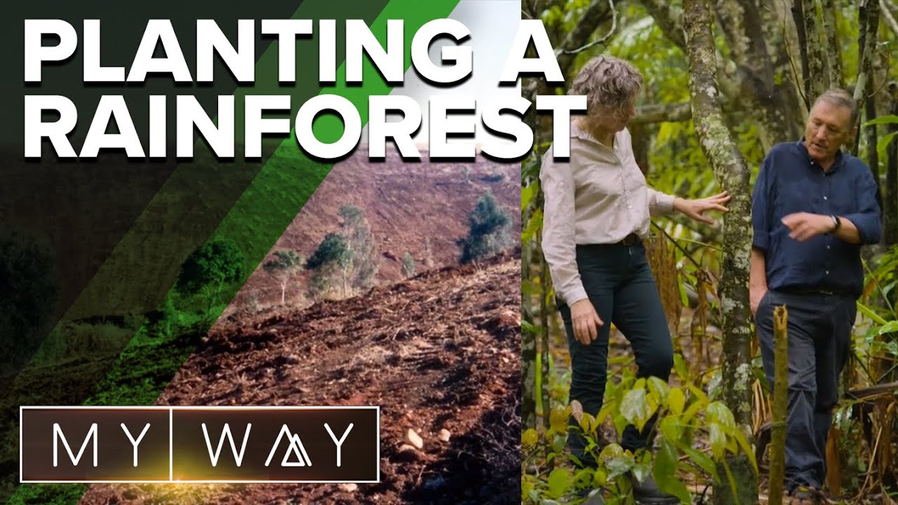 How one family's decision gave birth to a rainforest | Channel 9