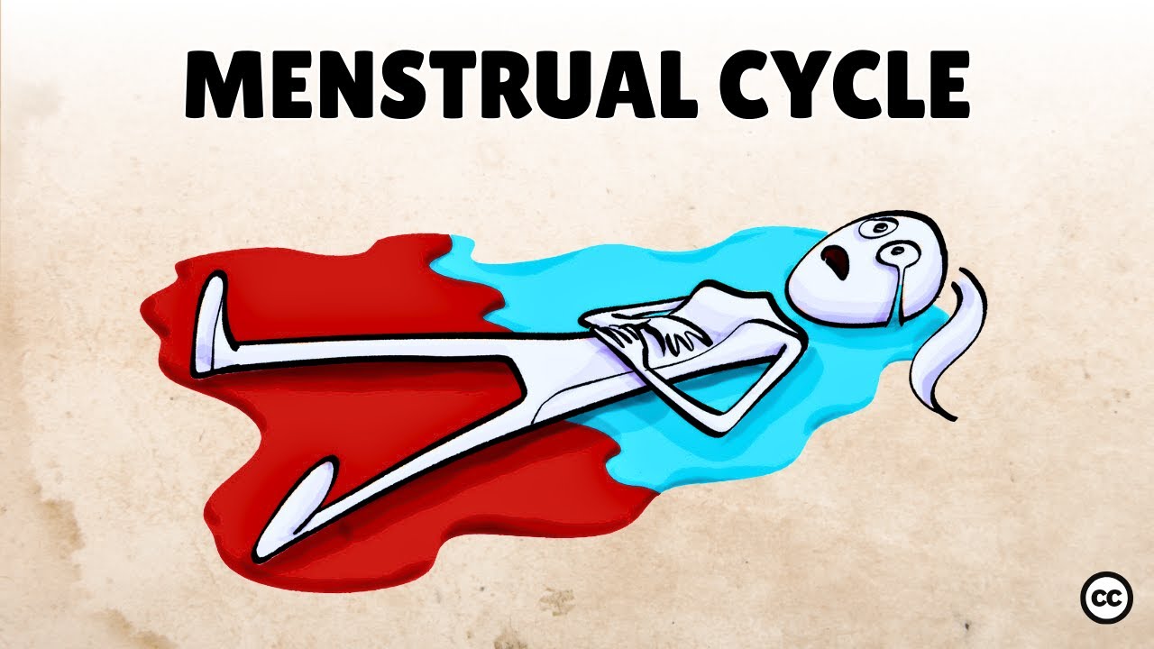 How Periods And Hormones Impact Mood [Menstrual Cycle]