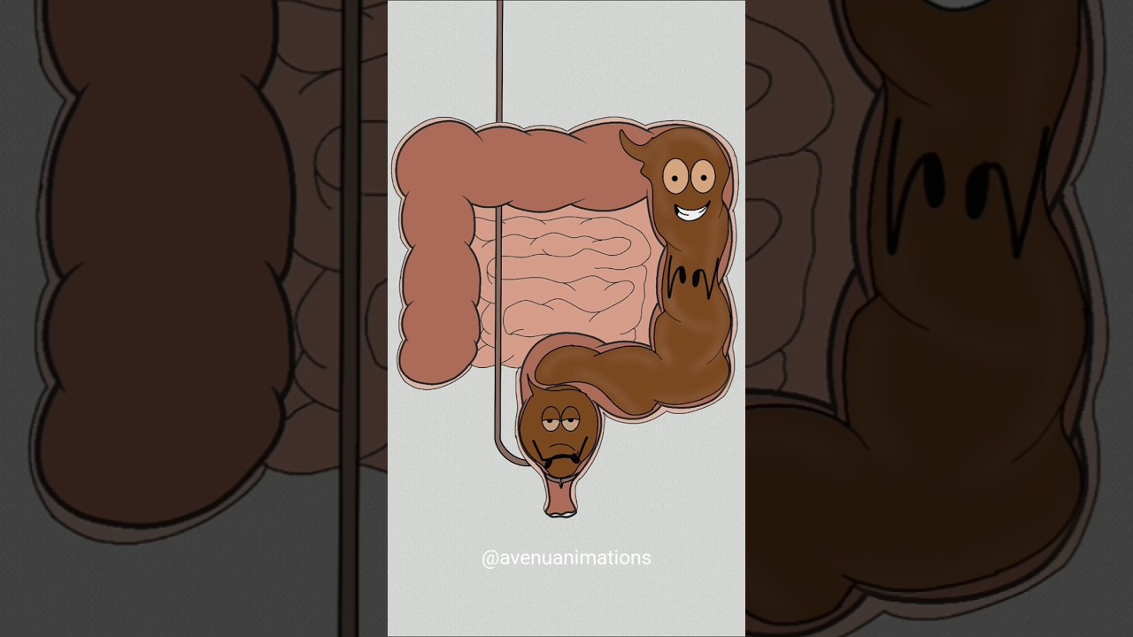 how poop system works! 🤣😂 (best animation memes) #shorts