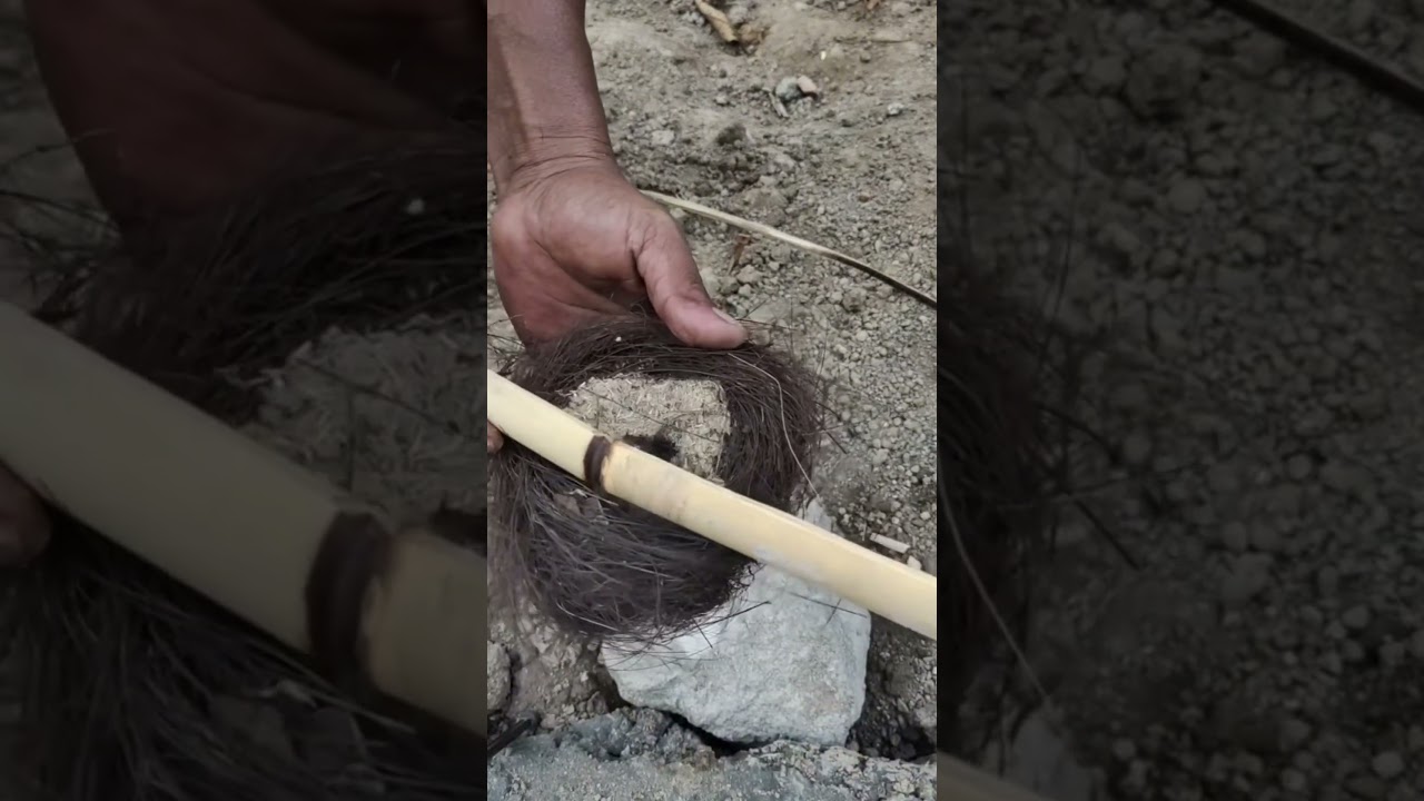 How the indigenous people make fire in the village