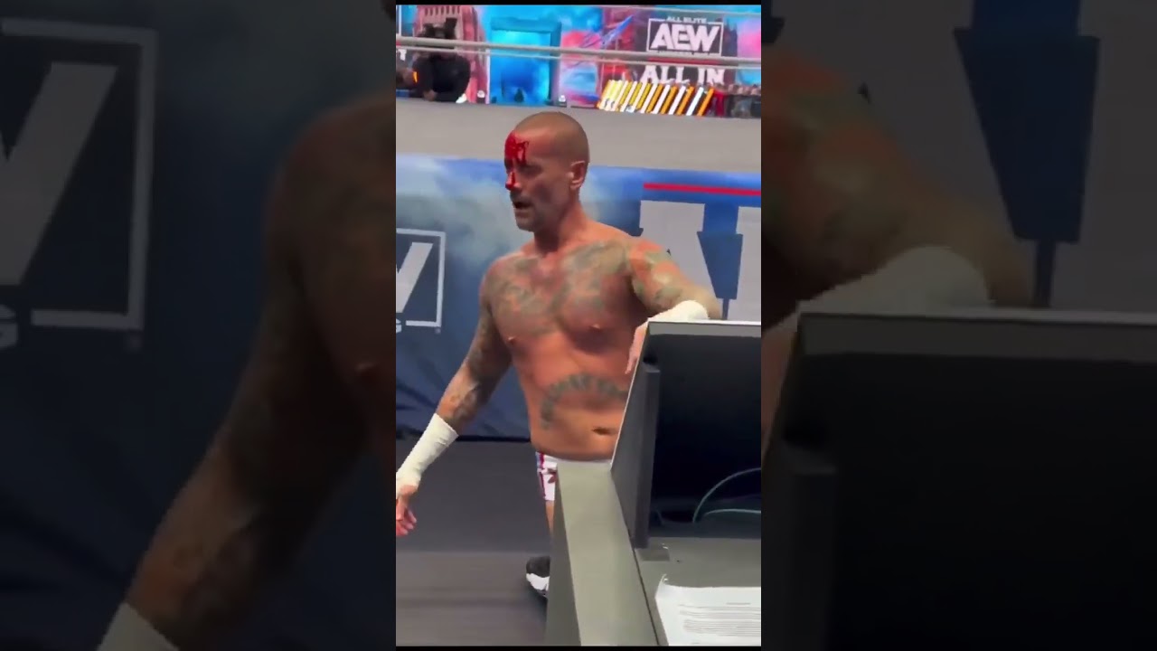 How they fool us | #wwe is full of drama fake fight 😡 | thelocaladventurer
