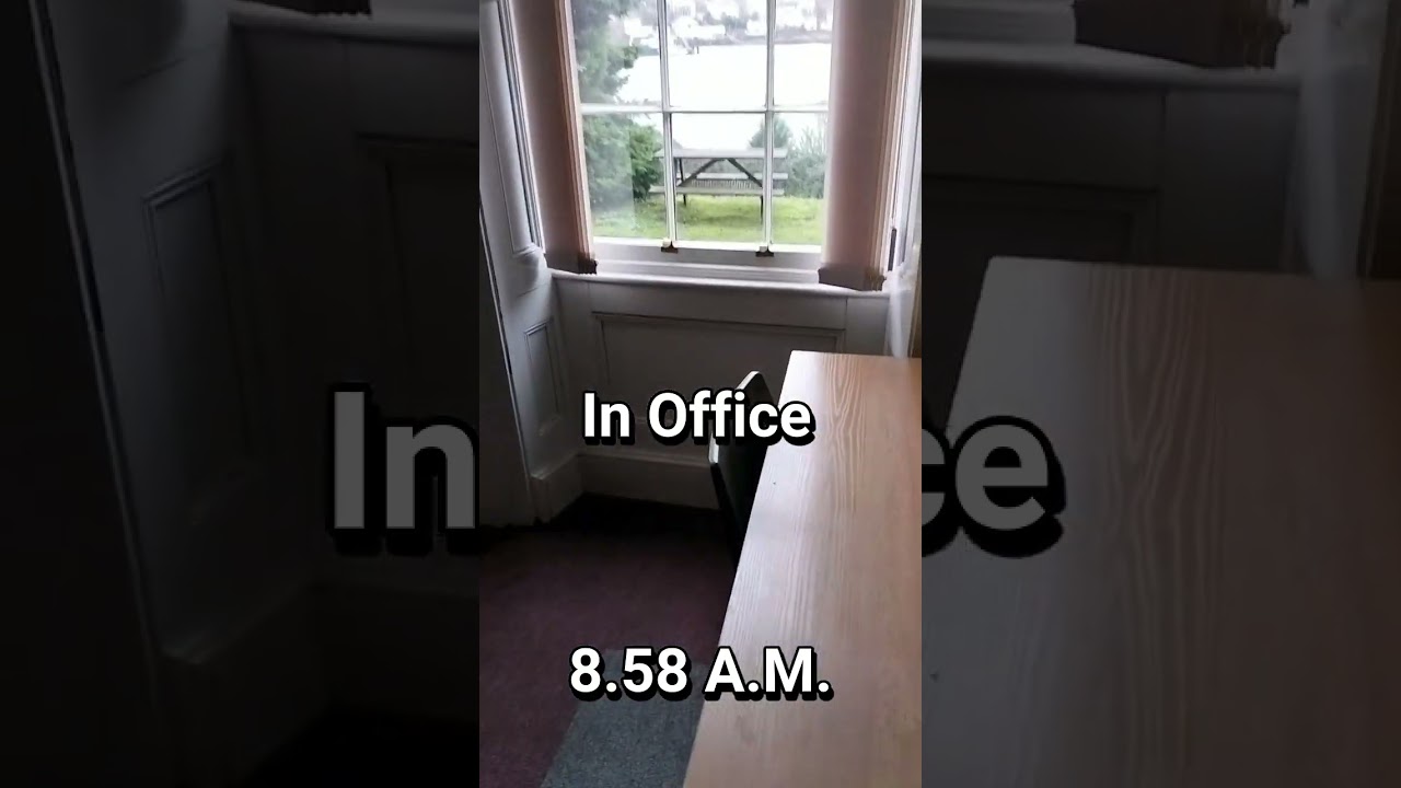 How to attend a 9.00 A.M online meeting... #phdlife #phdvlog #phdmemes
