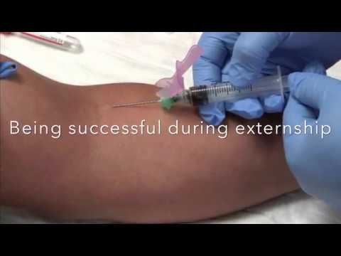 How To Be Successful During Externship