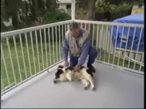 How To Build A Fibreglass Deck