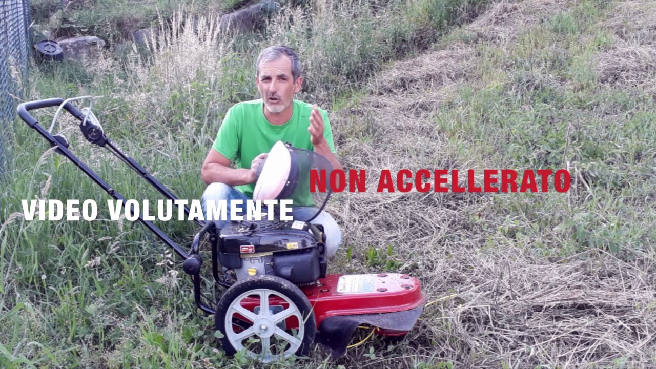 How to cut very high weeds with a wheeled brush cutter video review