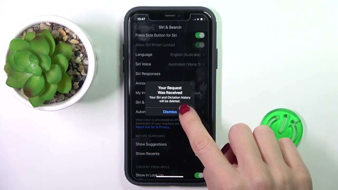 How to Delete Siri and Dictation History - Remove Siri Data on iOS 16