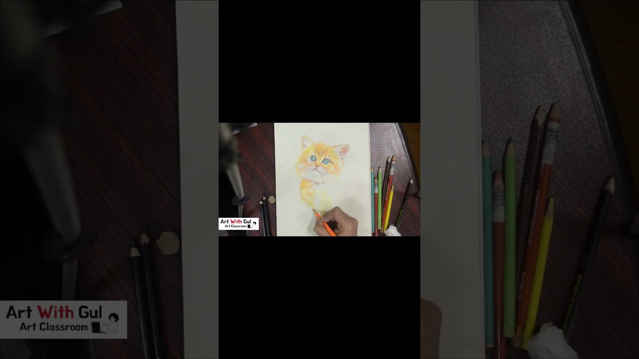 How to draw a cat step by step using B series pencil on A4 Page  Cat Drawing Tutorial 2022