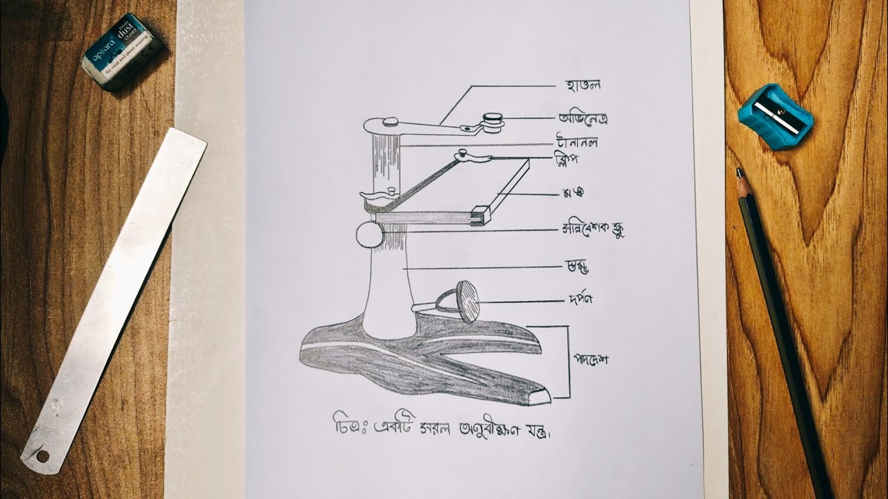 How to draw a Dissecting Microscope |dissecting Microscope for practical