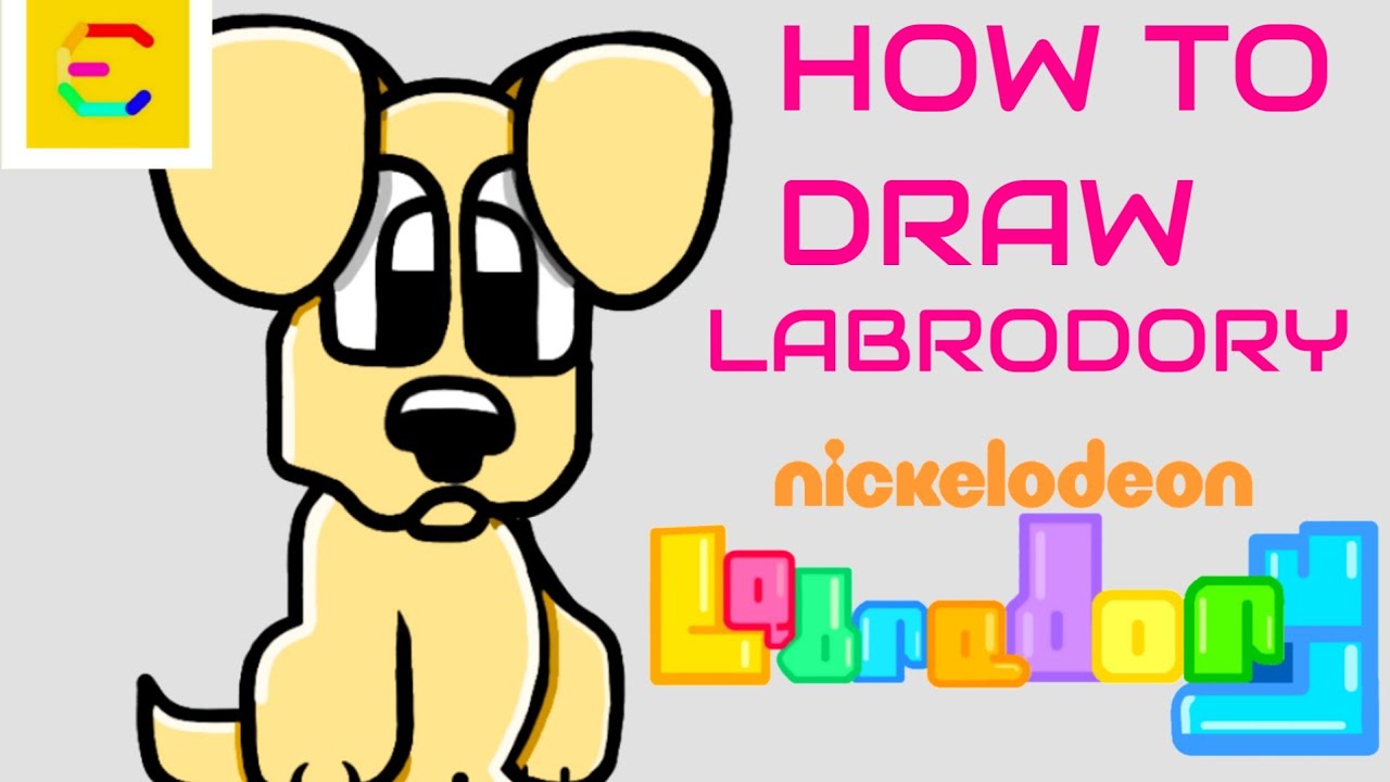 How To Draw Labrodory Eman120212