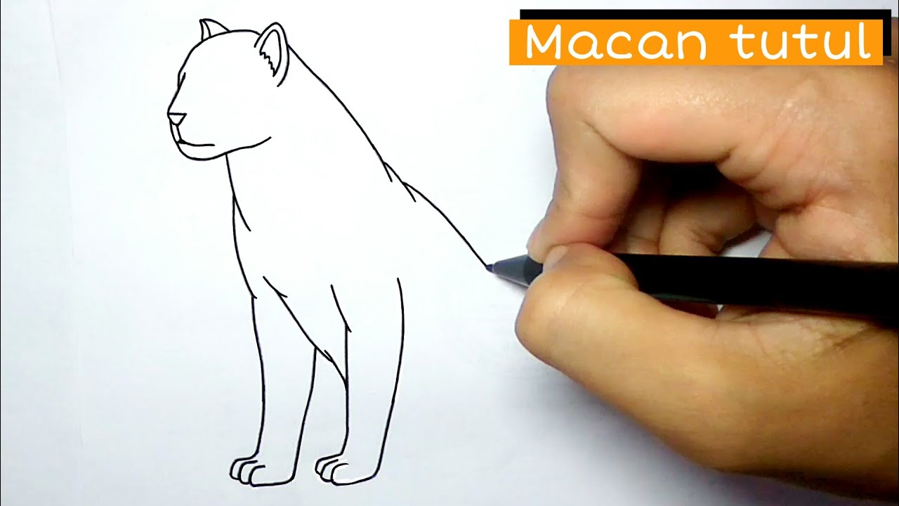 How to draw leopard easily