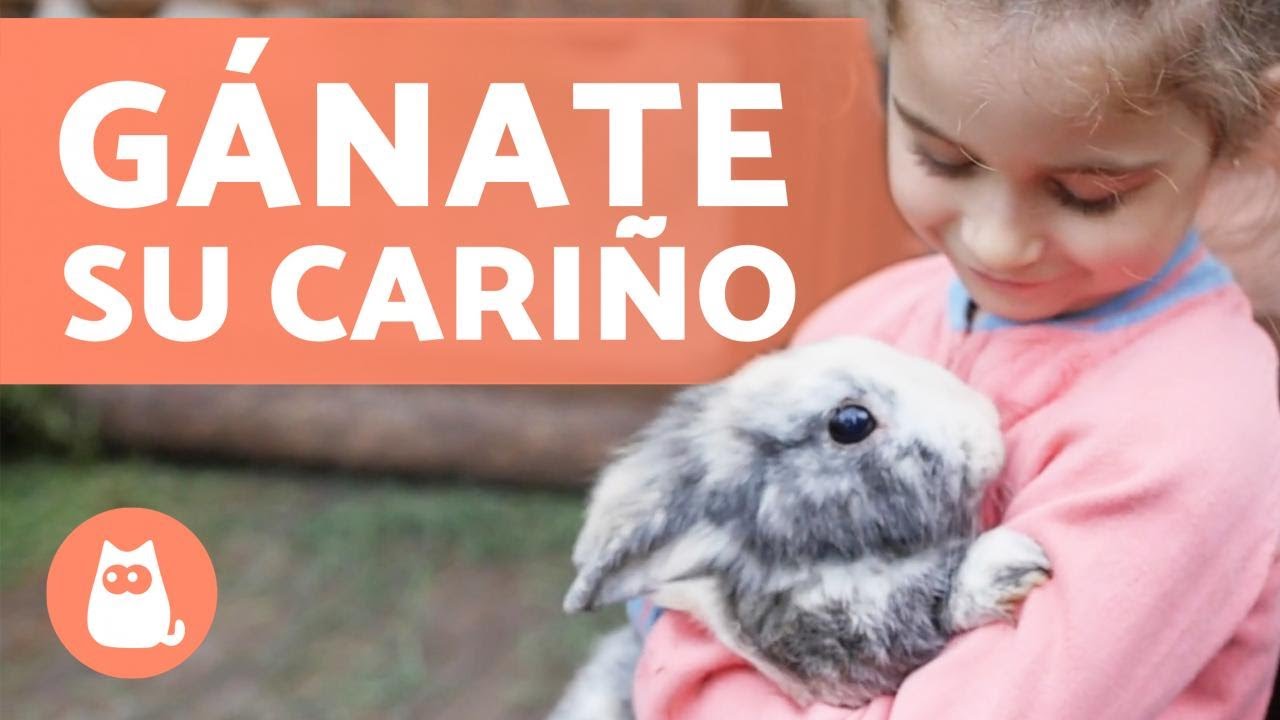 How to EARN a RABBIT'S TRUST (9 Key Tips)