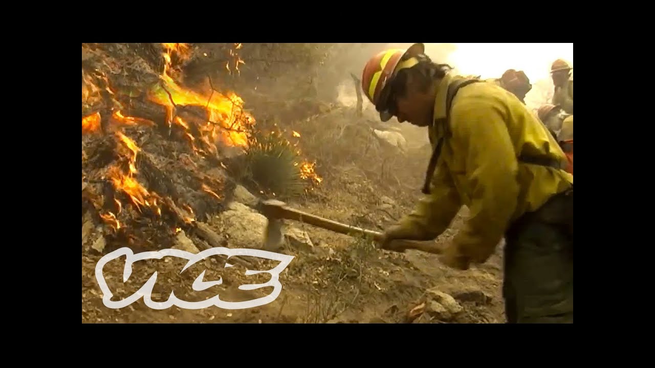 How to Fight Forest Fires