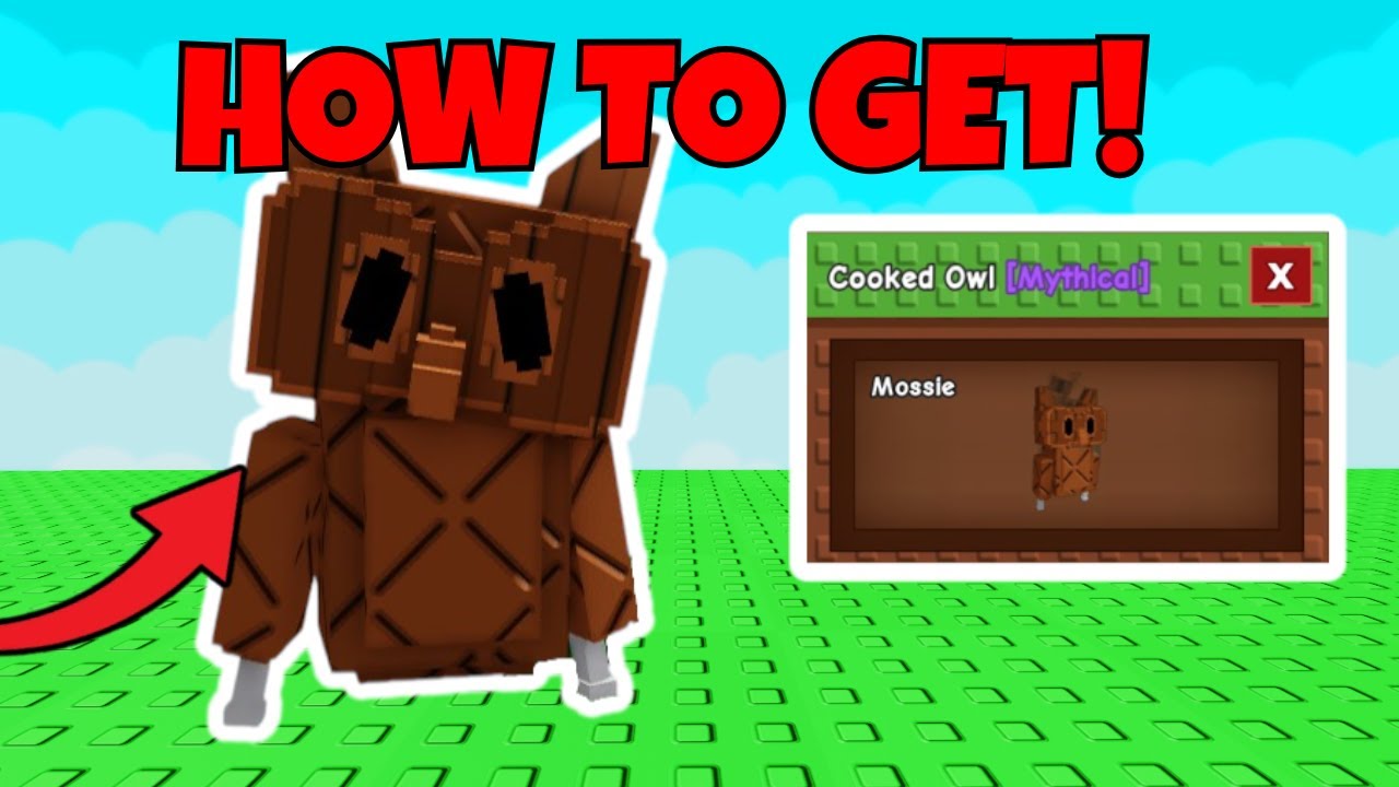 HOW TO GET COOKED OWL PET SHOWCASE in GROW A GARDEN! | Roblox