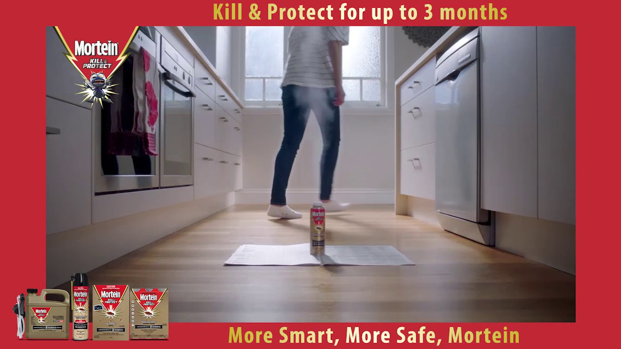 How to get rid of Cockroaches – Mortein Kill & Protect Crawling Insect Control Bomb