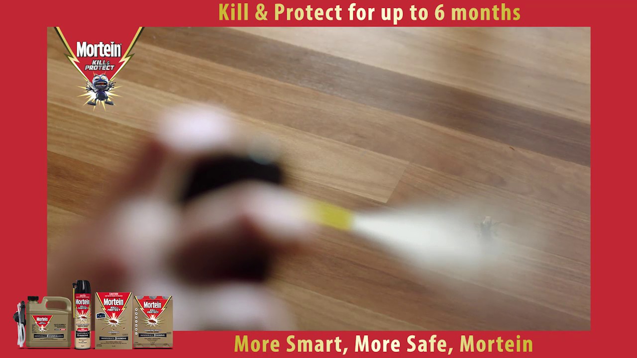 How to get rid of Cockroaches with Mortein Kill & Protect Crawling Insect Surface Spray