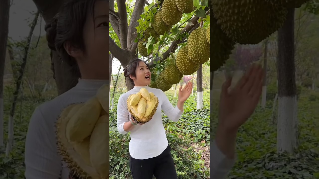 How To Growing Jackfruit 🥝 World Best Nature Fruits Enjoy Beautiful Chinese Garden 🏡 Rear Fruit