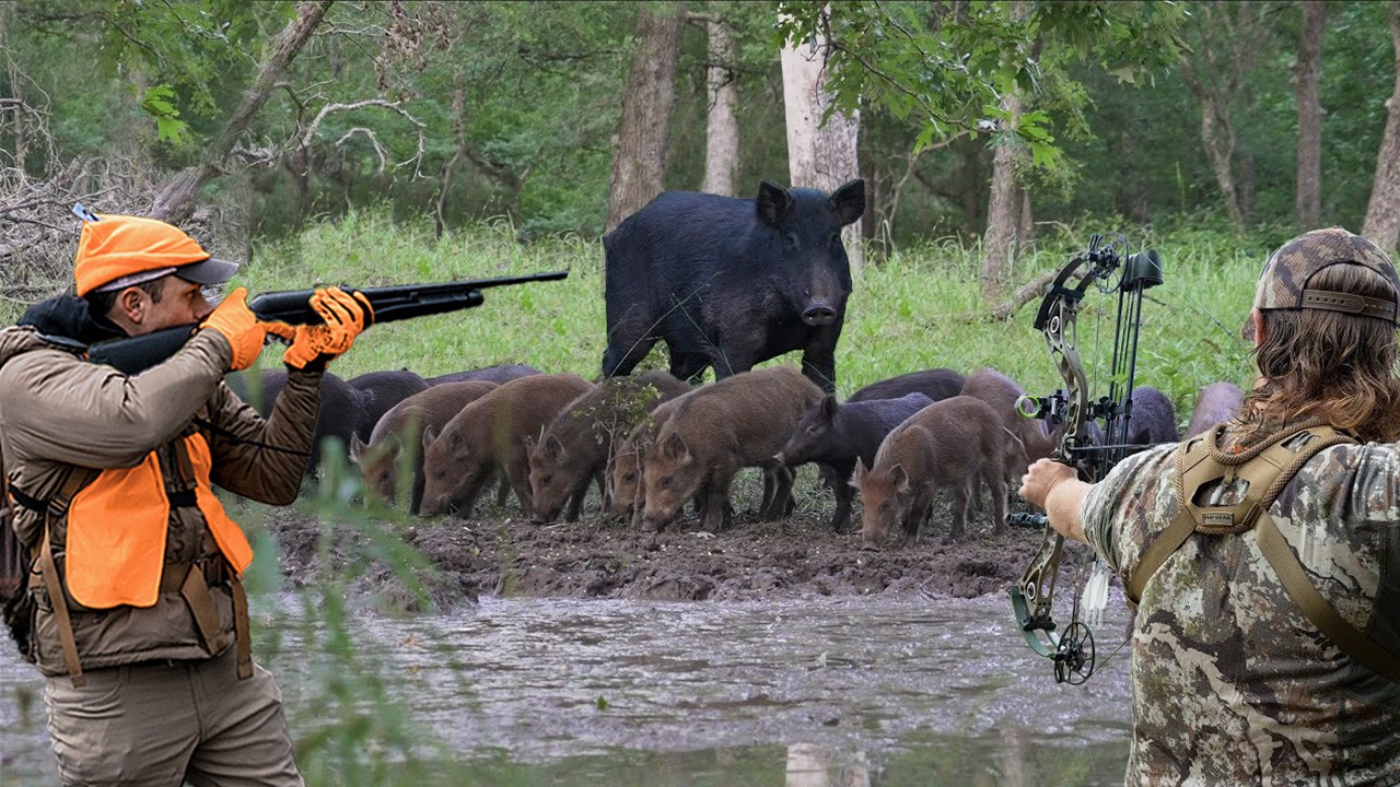 How to Hunt Wild Hogs | 4 BEST Ways