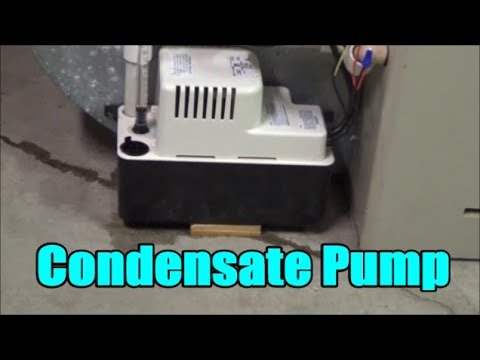 How to Install / Replace a Condensate Pump | Little Giant