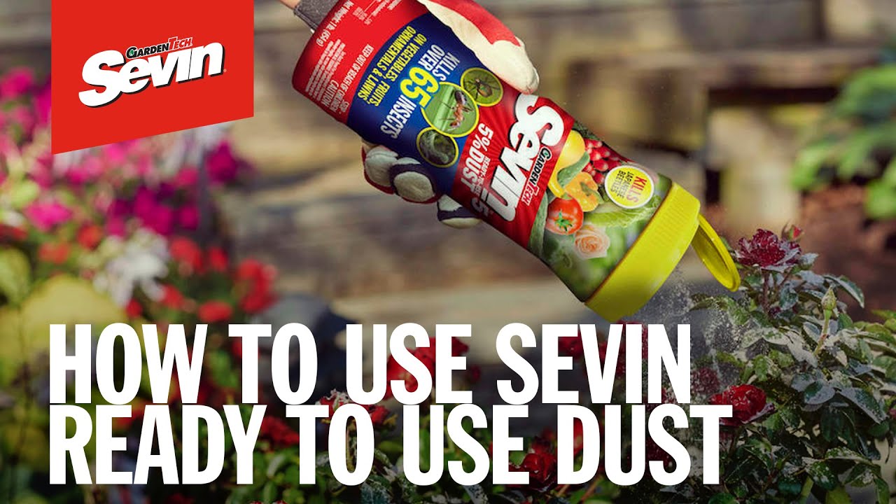 How to Kill Insects in Your Garden with Sevin Ready to Use Dust