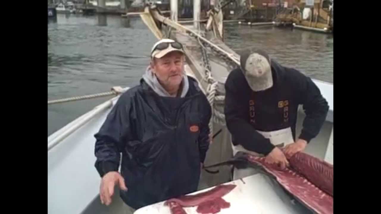 How to Loin a Tuna