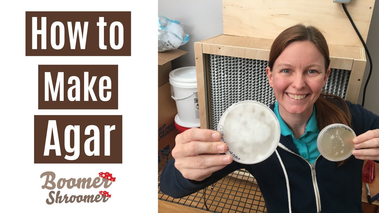 How to Make Agar