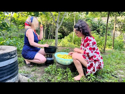 How to make homemade plum paste in the village/Easy and natural recipe using the traditional method