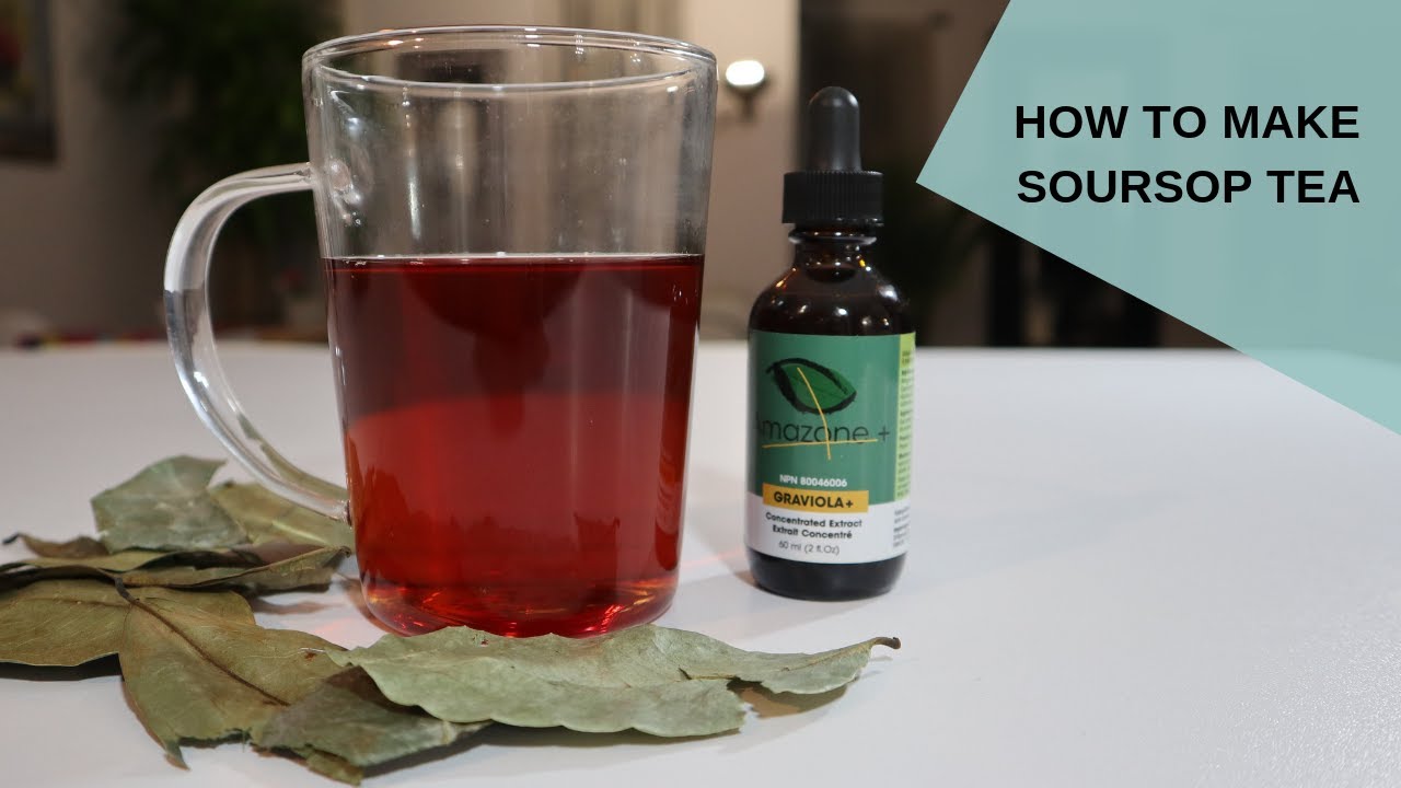 How to make Soursop Tea (Where to Buy? What's the Benefits?)