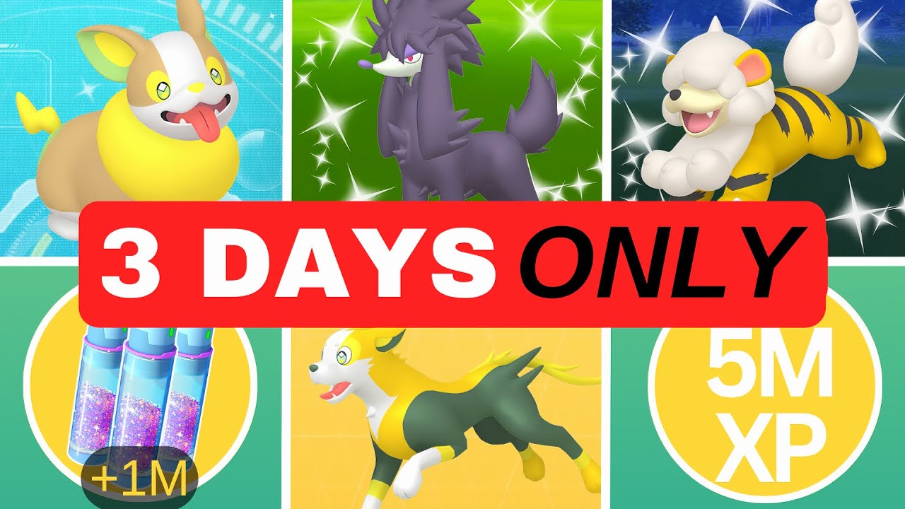 How To MAXIMISE The YAMPER Event!