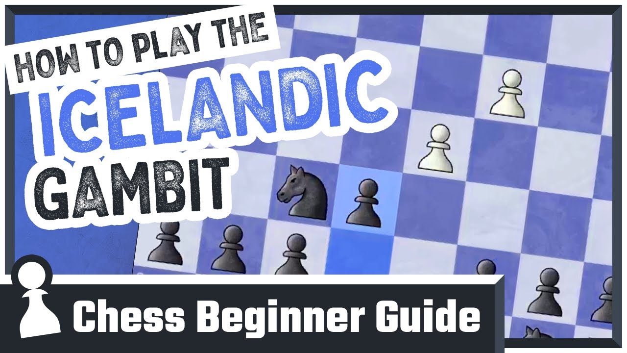 How to Play the Icelandic Gambit: Chess Beginner Guide to Chess Openings