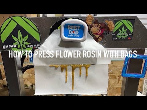 How to press Flower Rosin in 120 micron bag hand packed & 90 micron with DABPRESS mold 20% Return 🔥