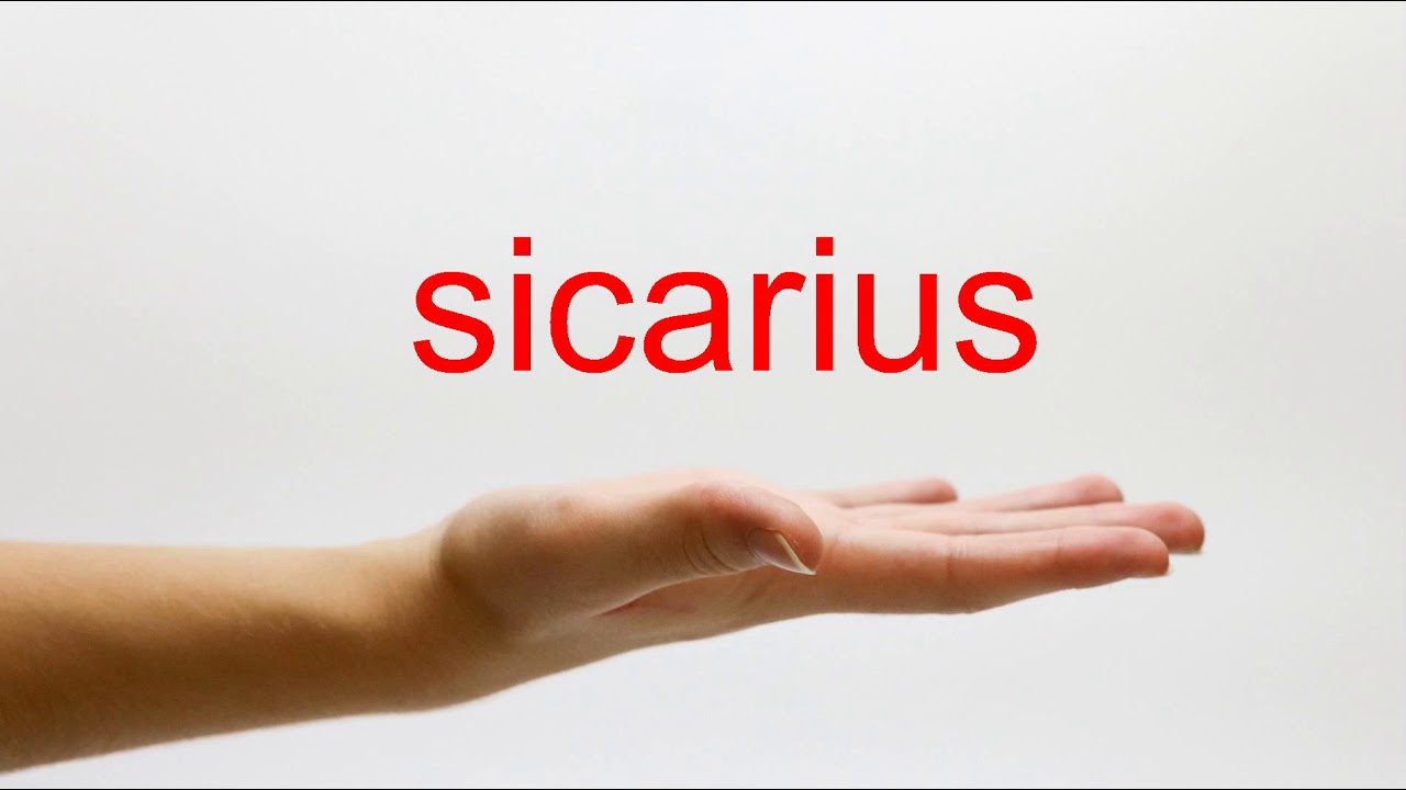 How to Pronounce sicarius - American English