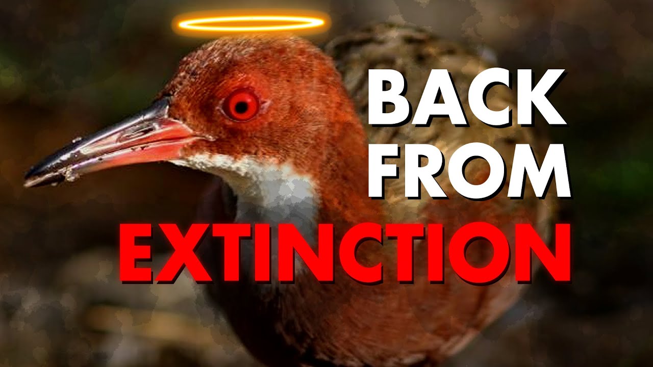 How to Revive a Species