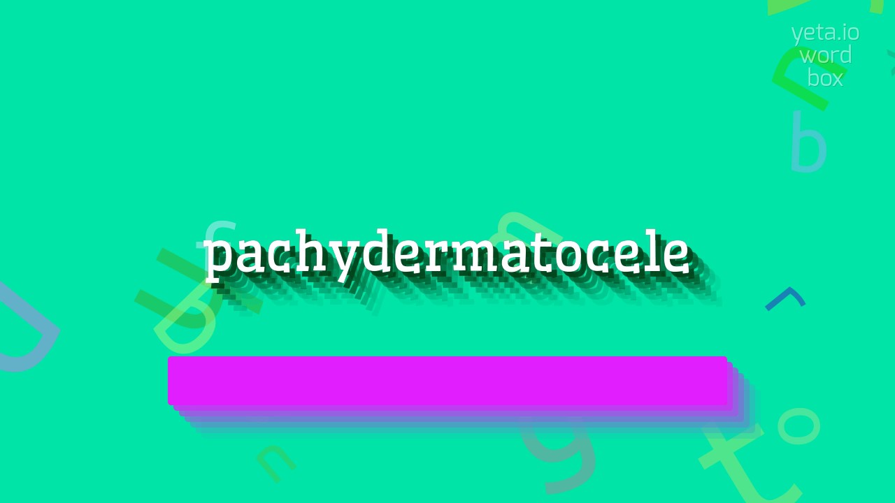HOW TO SAY PACHYDERMATOCELE? #pachydermatocele