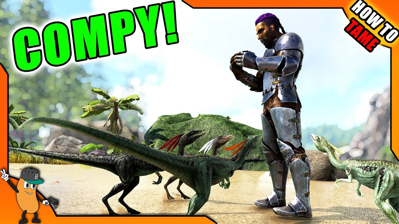 HOW TO TAME A COMPY! | ARK How To Tame Series
