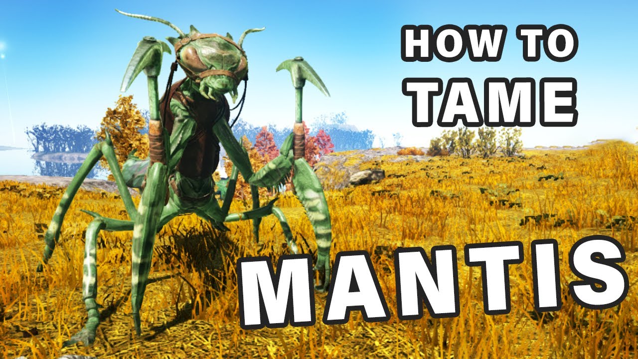 How to Tame a Mantis ► Ark Survival Evolved