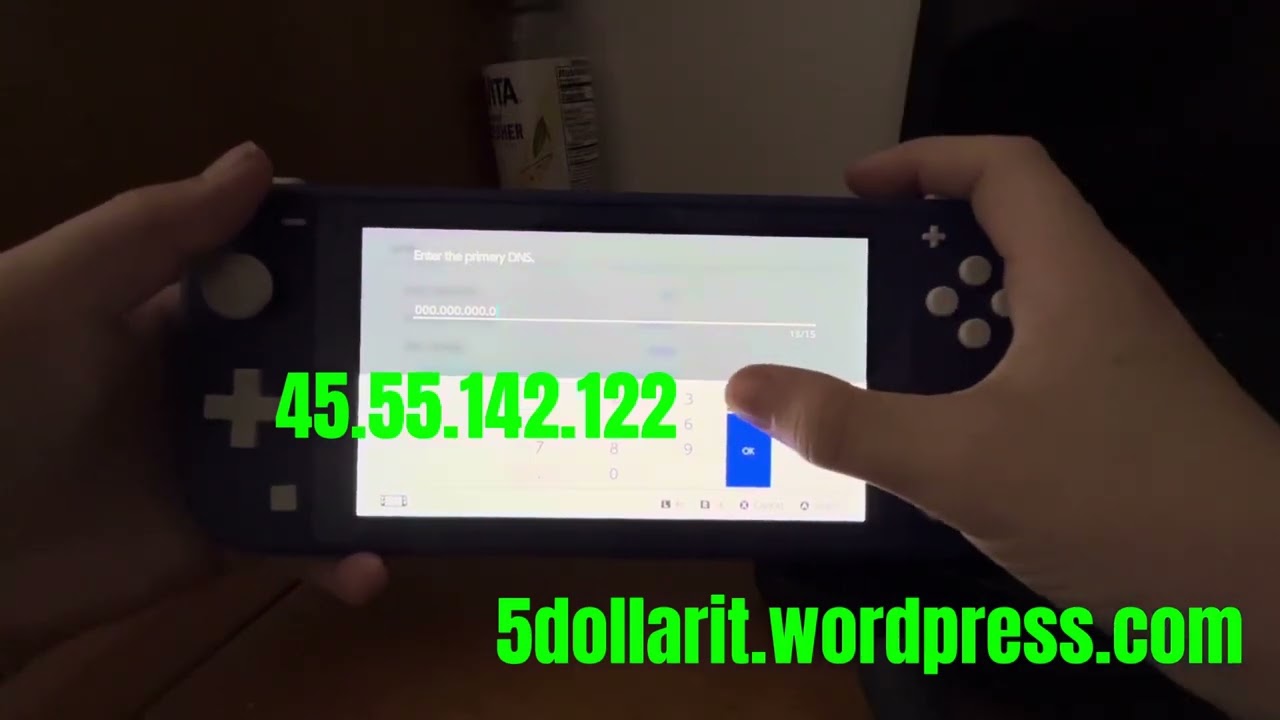 How to use Nintendo switch secret web browser (switchbru dns)